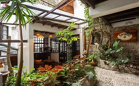 Gringo Bill'S Boutique Hotel